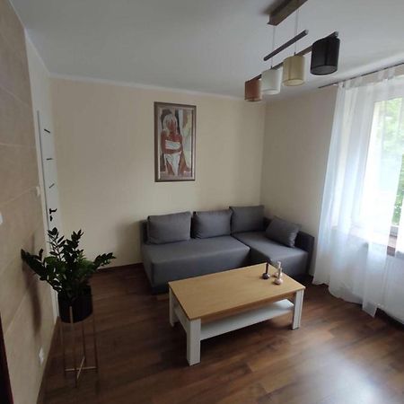 Obok Szczesliwej 7 Daire Gliwice Dış mekan fotoğraf
